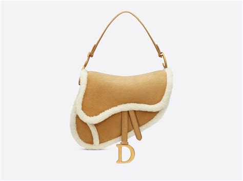 dior saddle france